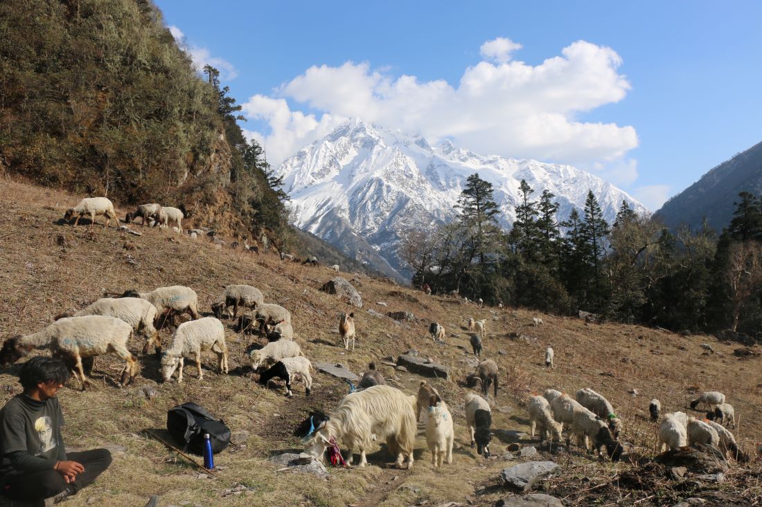 Important things to remember before starting Saipal Himal base camp trek . - A blog post from Alpinist Club